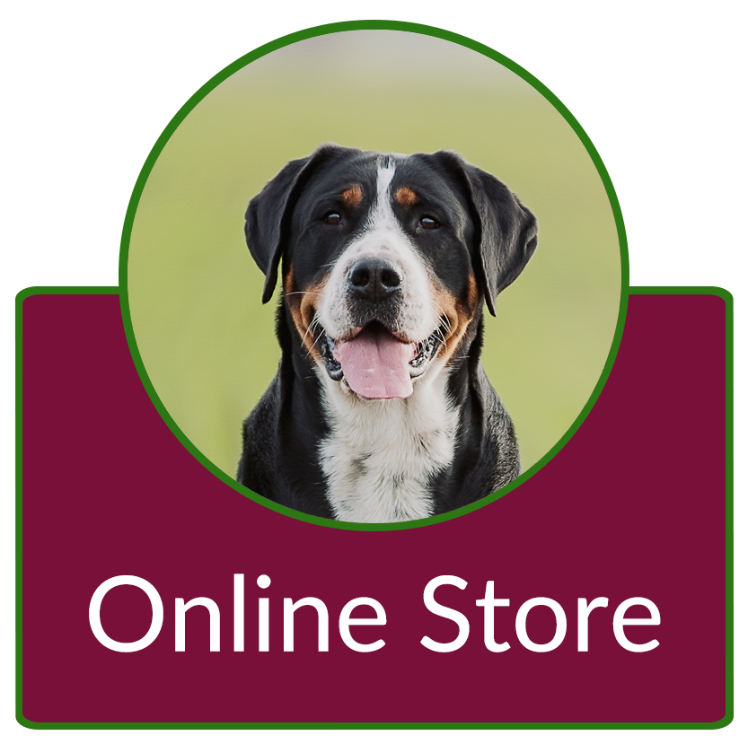 Online Store