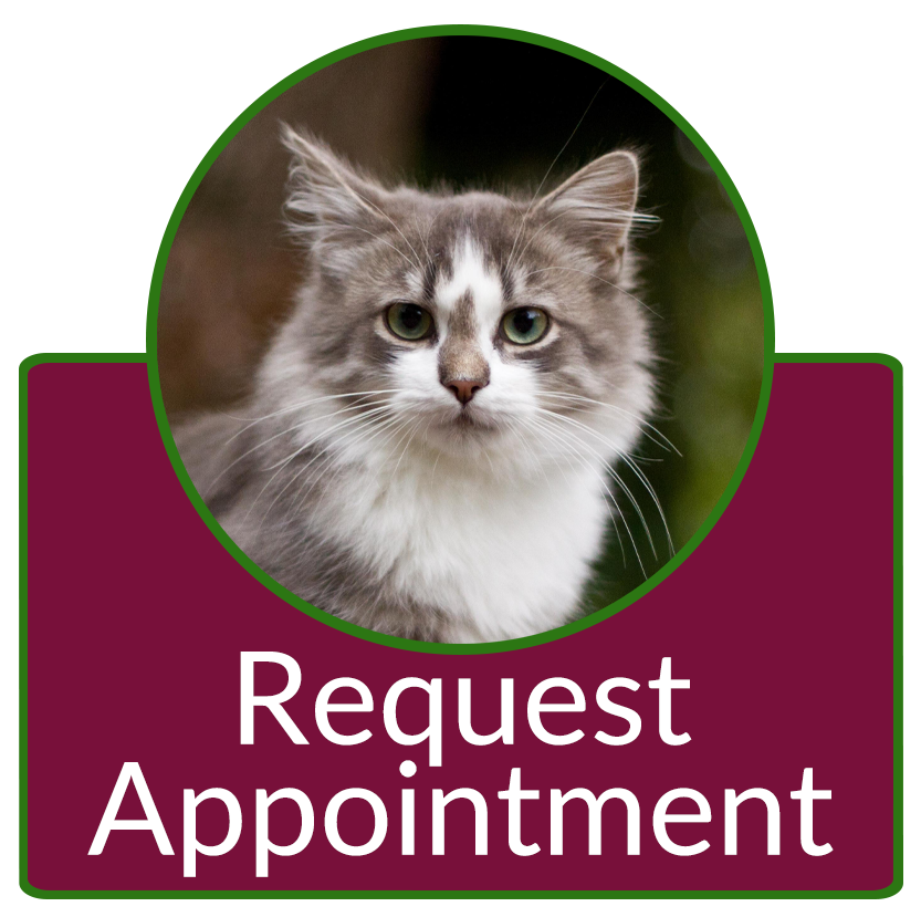 Request Appointment