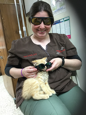 staff holding cat in glasses