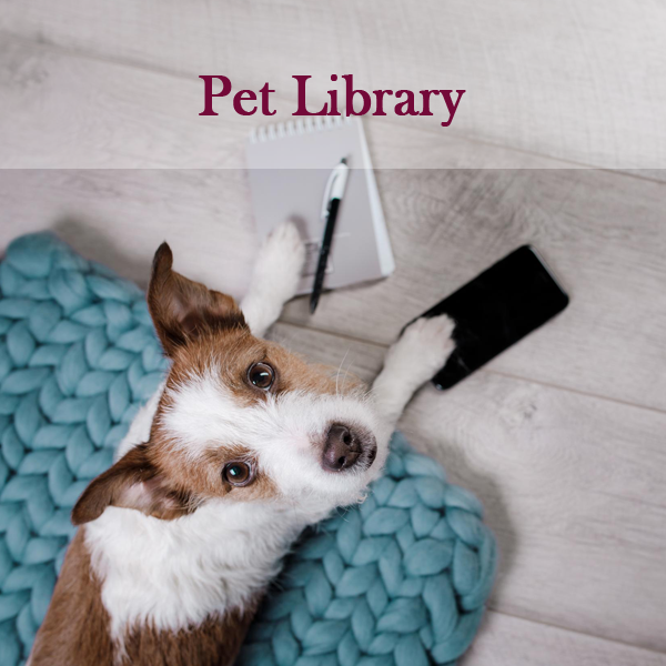 Dog with phone - Pet Library